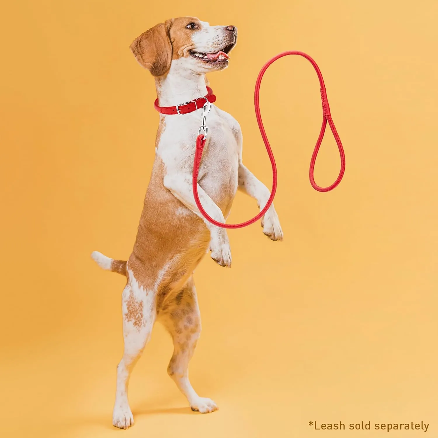 Dogline Soft and Padded Rolled Round Leather Collar for Dogs W3/8" - L16"-19", Red