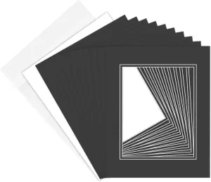 Golden State Art Pack of 10 Double Mats 11x14 Core Bevel Cut for 8x10 Pictures   Backing   Bags, 11" x 14", Black/White/Clear