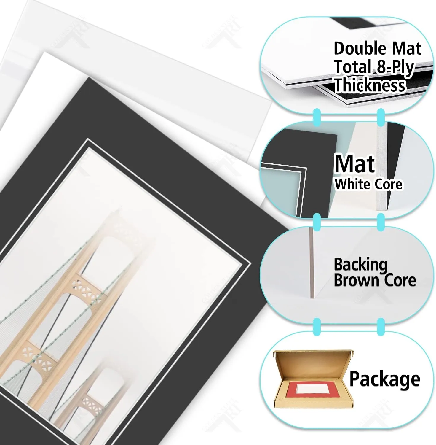 Golden State Art Pack of 10 Double Mats 11x14 Core Bevel Cut for 8x10 Pictures   Backing   Bags, 11" x 14", Black/White/Clear