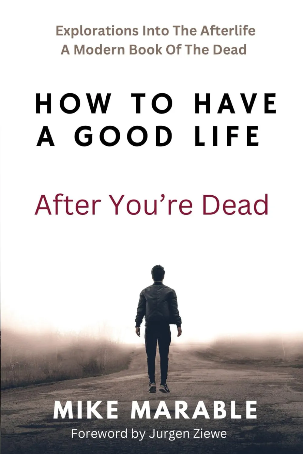 How To Have A Good Life After You’re Dead: Explorations Into The Afterlife. A Modern Book Of The Dead Paperback – November 21, 2023