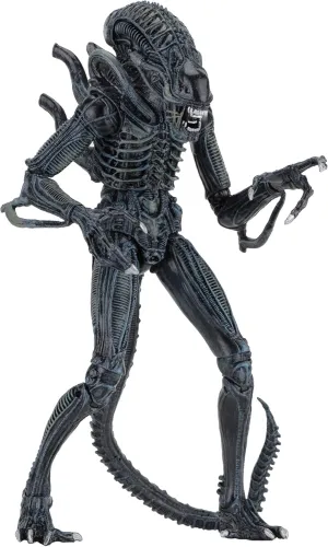 NECA - Alien- 7" Scale Action Figures - Ultimate Warrior - (1986) Blue Alien