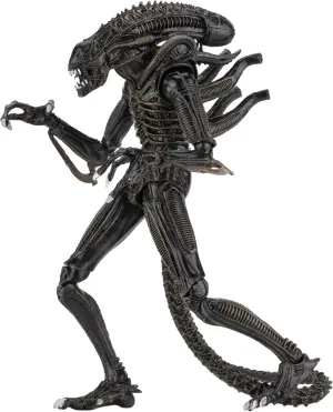 NECA - Alien- 7" Scale Action Figures - Ultimate Warrior - (1986) Brown Alien