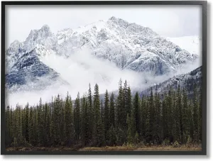Stupell Industries Snowy Mountain Top Tall Fir Trees Modern Photography Black Framed Wall Art, 14 x 11, Off- White