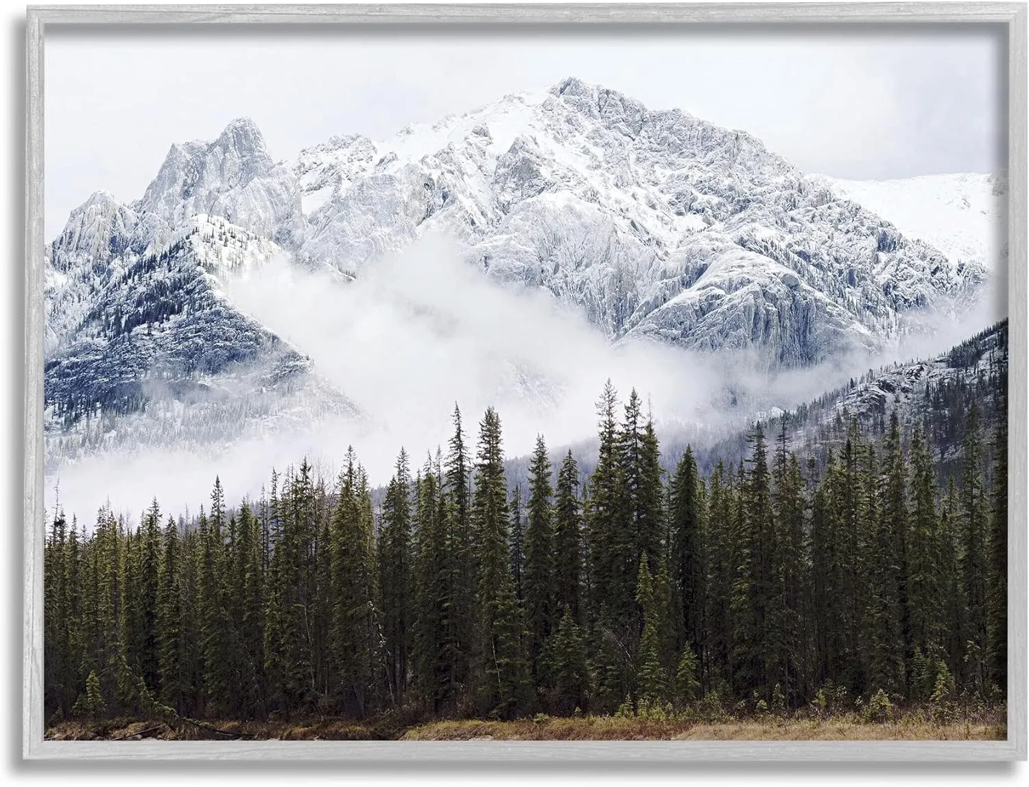 Stupell Industries Snowy Mountain Top Tall Fir Trees Modern Photography Grey Framed Wall Art, 14 x 11, Off- White