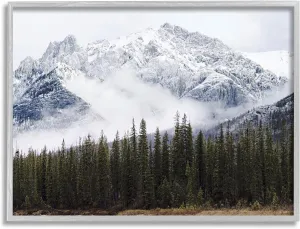 Stupell Industries Snowy Mountain Top Tall Fir Trees Modern Photography Grey Framed Wall Art, 14 x 11, Off- White