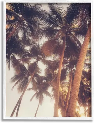 Stupell Industries Sun Bleached Palm Tree Tops Vintage Summer Sky, Designed by Acosta White Framed Wall Art, 16 x 20, Green